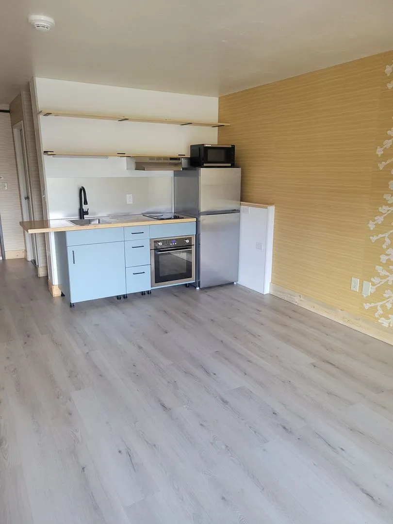 Studio Apartment with Deck - Modern Comfort, Mountain Close! Utilities & Internet Included.  - Photo 3
