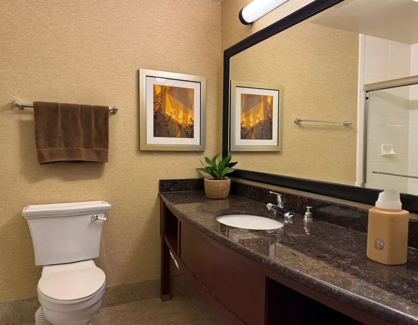 Studio Apartment - Your Cozy Basecamp with Views & Vibes! All Utilities & Internet included.  - Photo 4